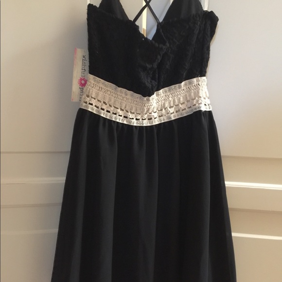 Sexy dress, chiffon skirt and stretch lace bodice - Picture 3 of 4